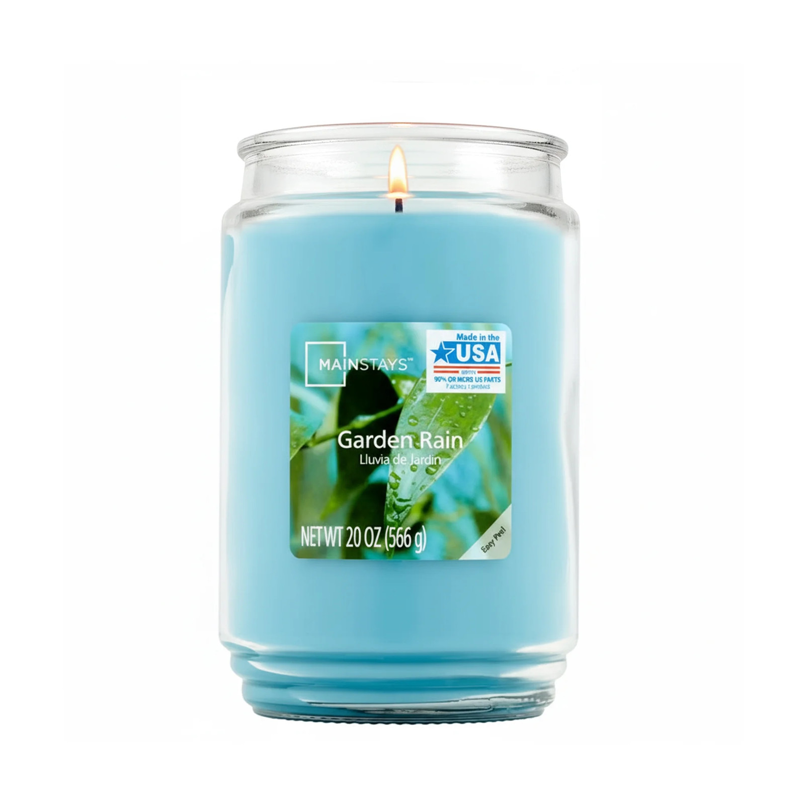 (2 Pack) Garden Rain Single-Wick Large Glass Jar Candle, 20 Oz