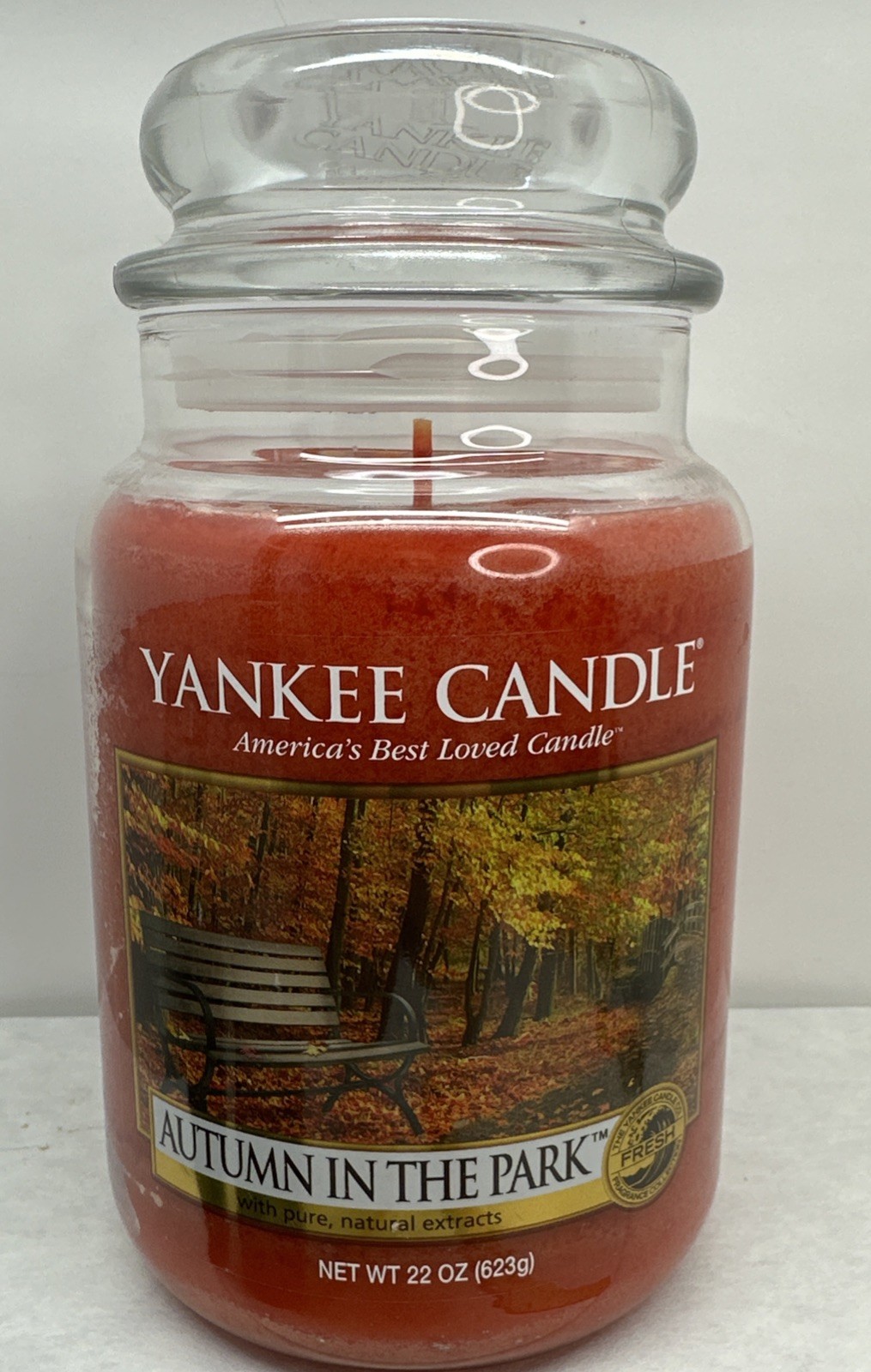 Yankee Candle Retired AUTUMN IN THE PARK 22oz Jar Discontinued Fall Apple New