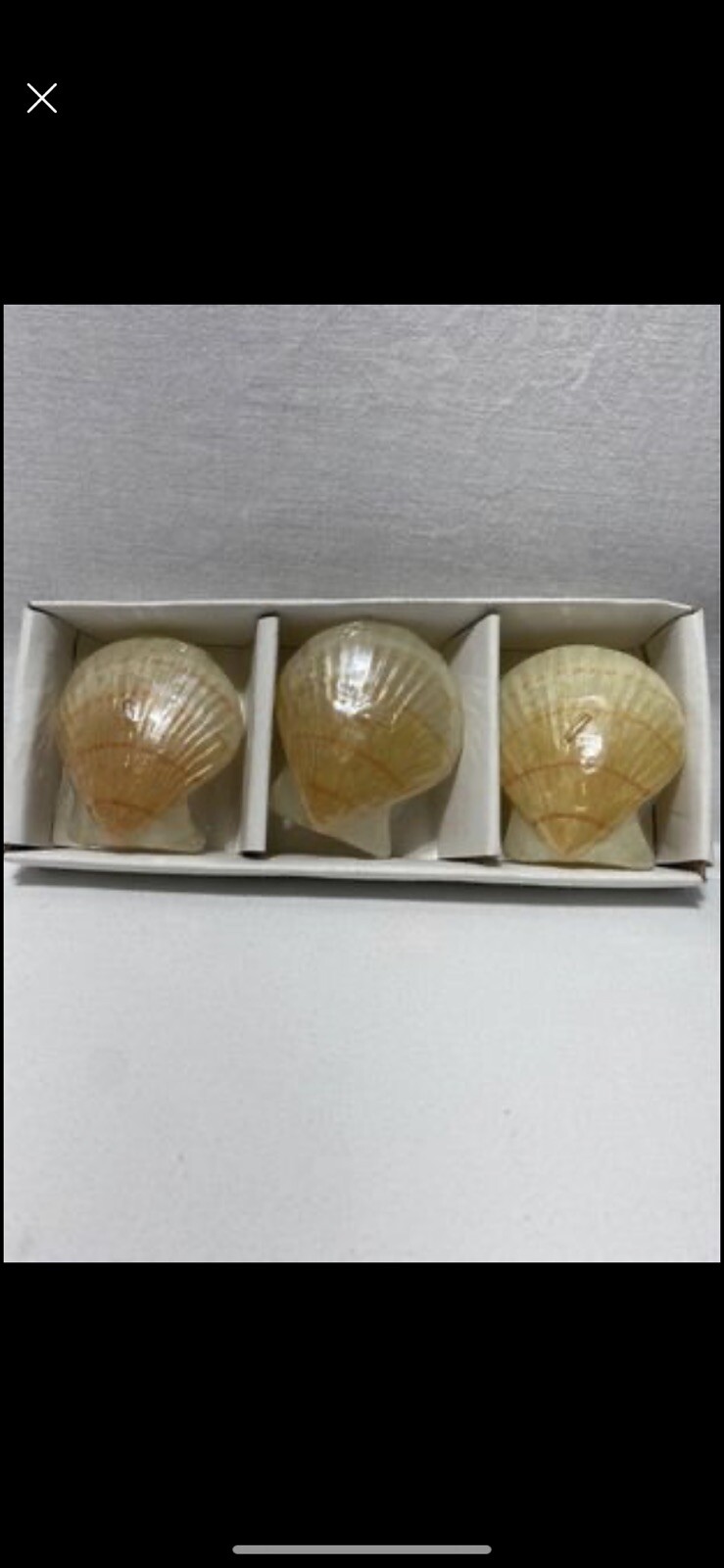 SEASHELL FLOATING CANDLES (3 PACK) BEACH / COASTAL HOME & BATHROOM DECOR