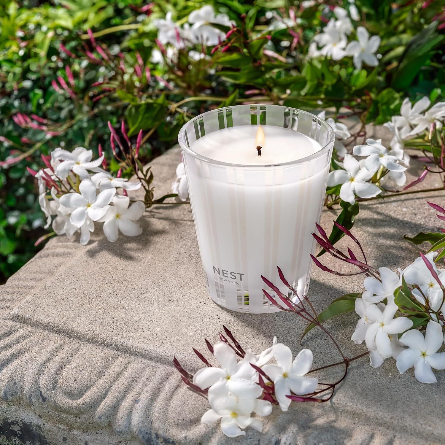 Scented Classic Candle, Indian Jasmine – 8.1 oz – Up to 60-Hour Burn Time