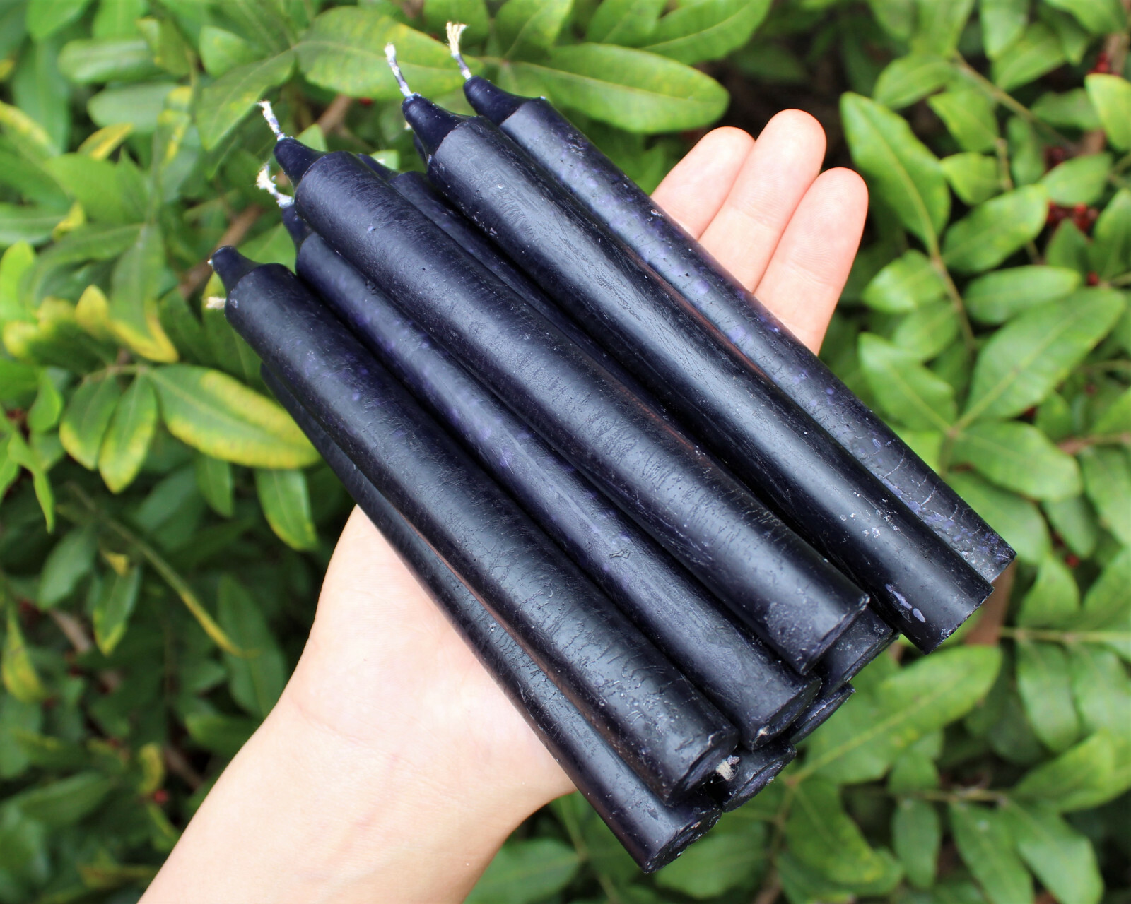 Lot of 12 x 6″ Taper Candles: BLACK (Spell Candles Altar Household)