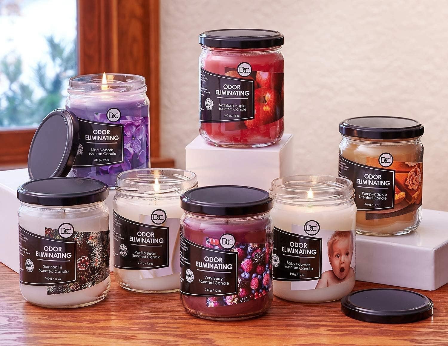 12oz Vanilla Bean Candle – 80-Hour Fragrance for Pet and Smoke Odor Elimination