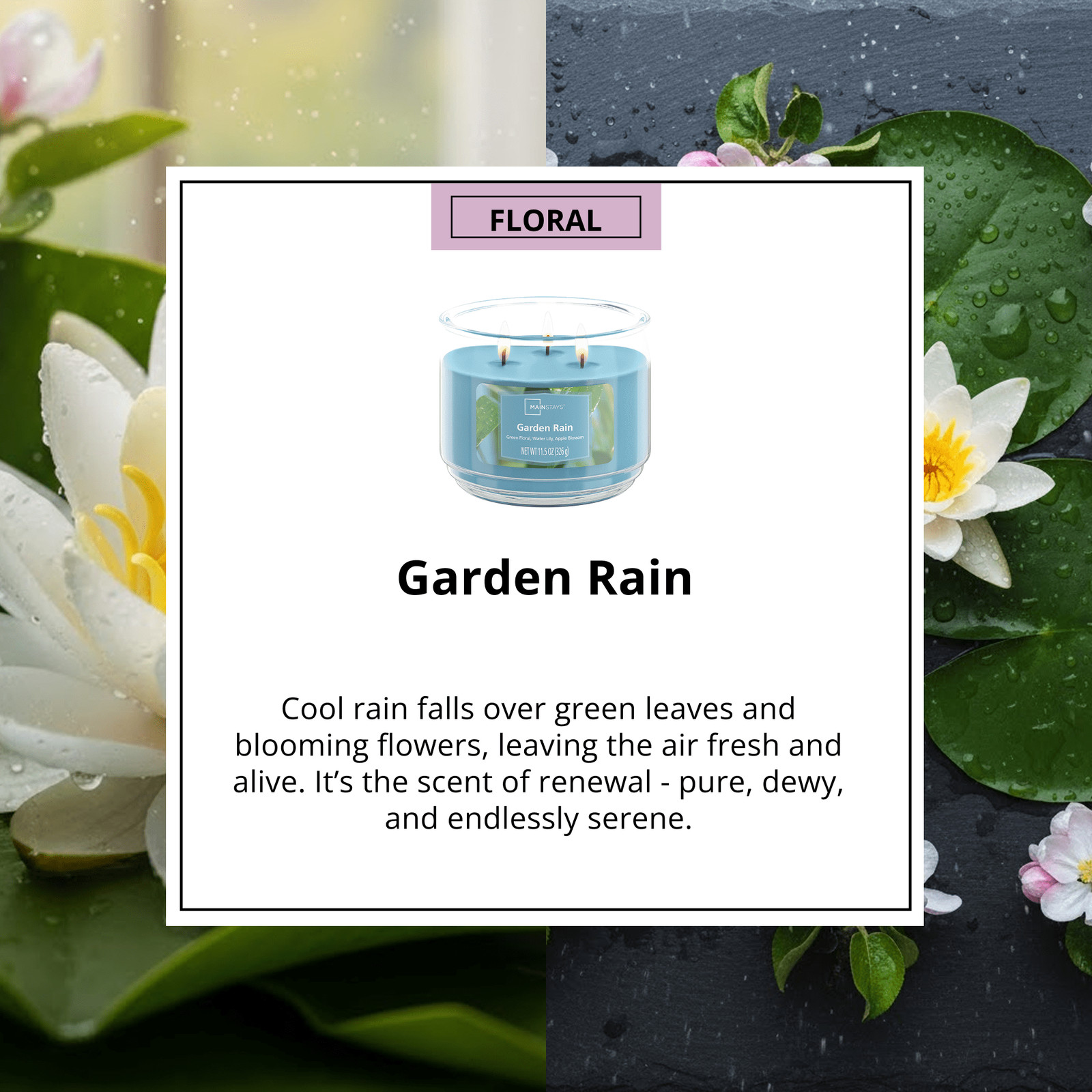 2-Pack Garden Rain Scented 3-Wick Glass Jar Candle, 11.5oz / 326g
