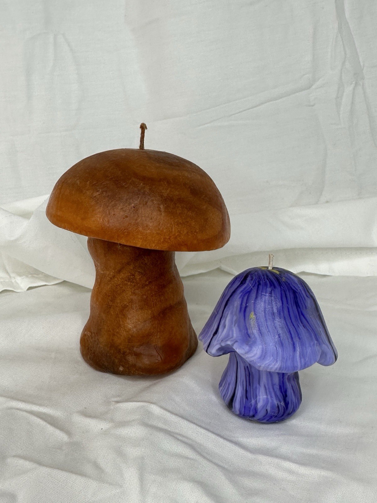 Hand-Poured Mushroom Candle Lot of 2 Brown Porcini Purple Marbled Cottagecore