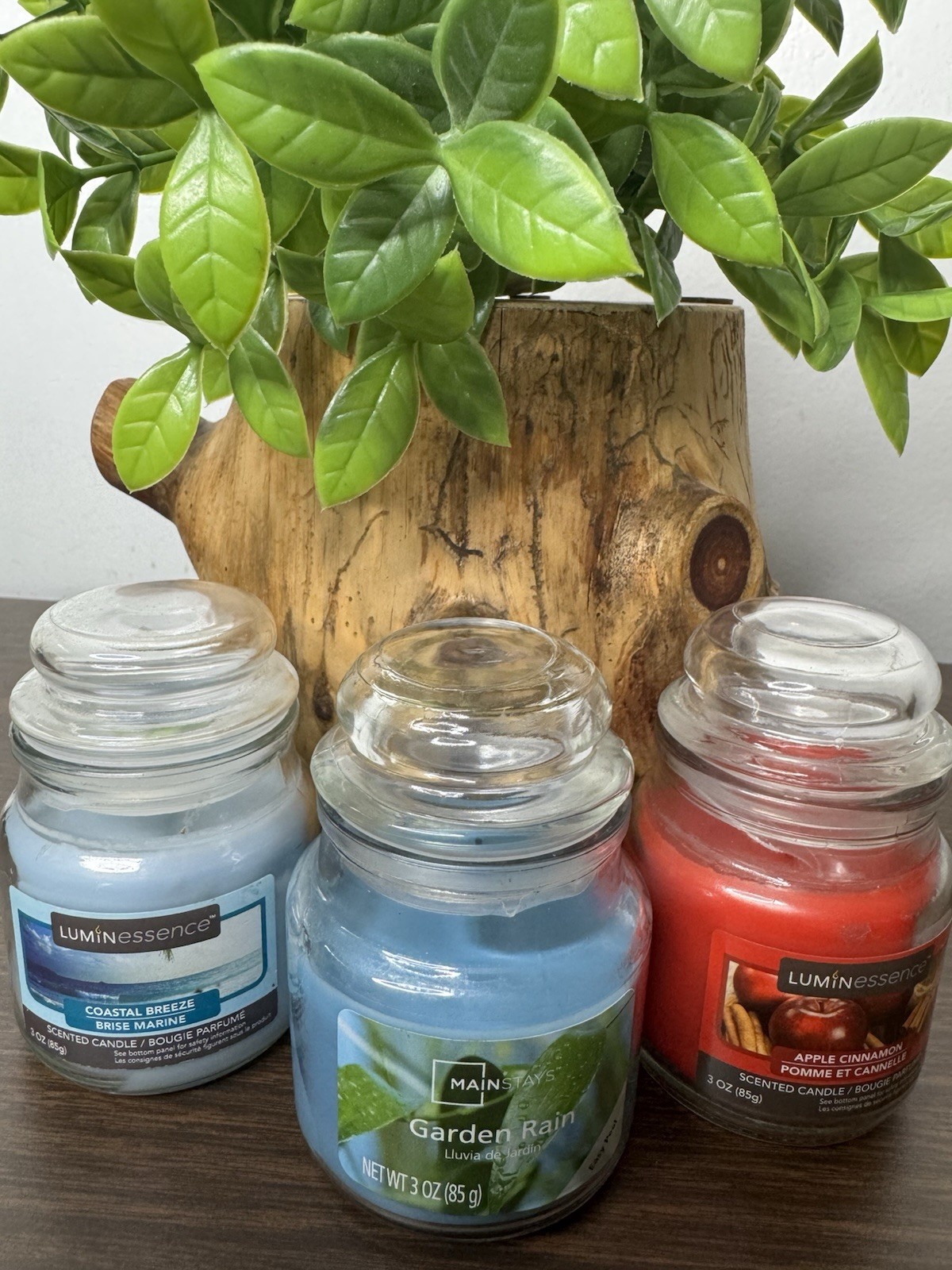 3 Candles Mainstays Jar 3 Ounce Garden Rain Apple Cinnamon Coastal Breeze