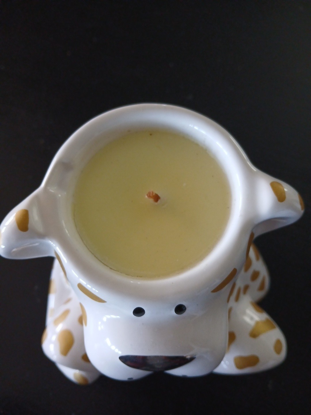 Harry Slatkin 2010 Homemade Cookies Scented Leopard Jar Candle 5.5 OZ