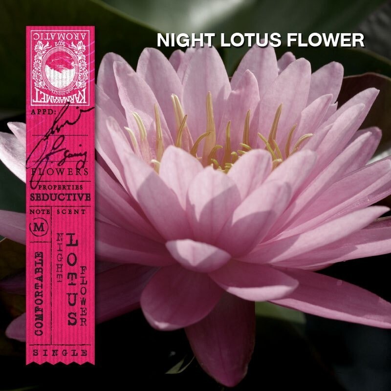 3x KARMAKAMET Perfume Sachet Night Lotus Flower Scent Traditional Asian 50g
