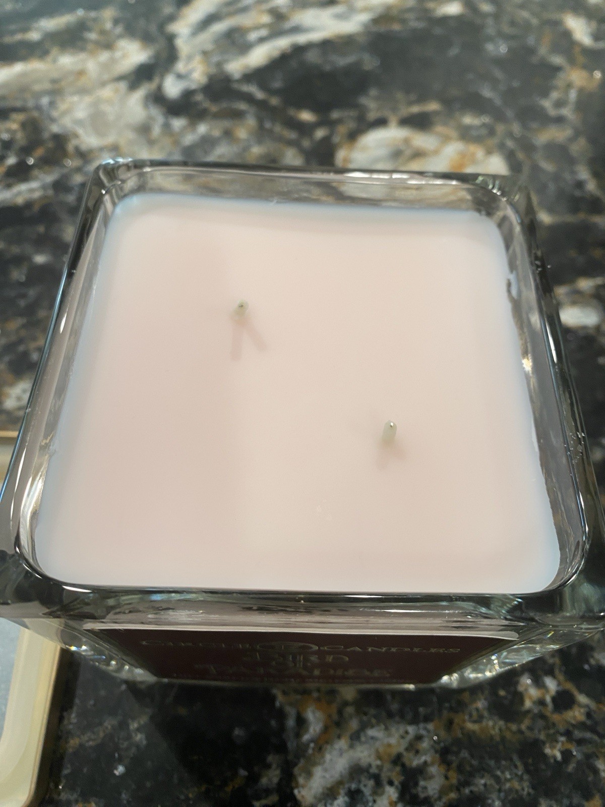 Circle E Candles Bird Of Paradise 2 Wick 22oz