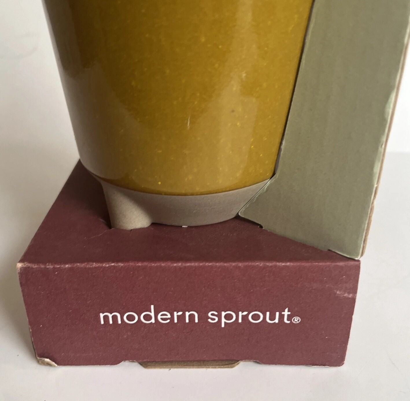 Modern Sprout Glow & Grow DESERT OASIS Candle & Grow Kit – Aloe Seed New