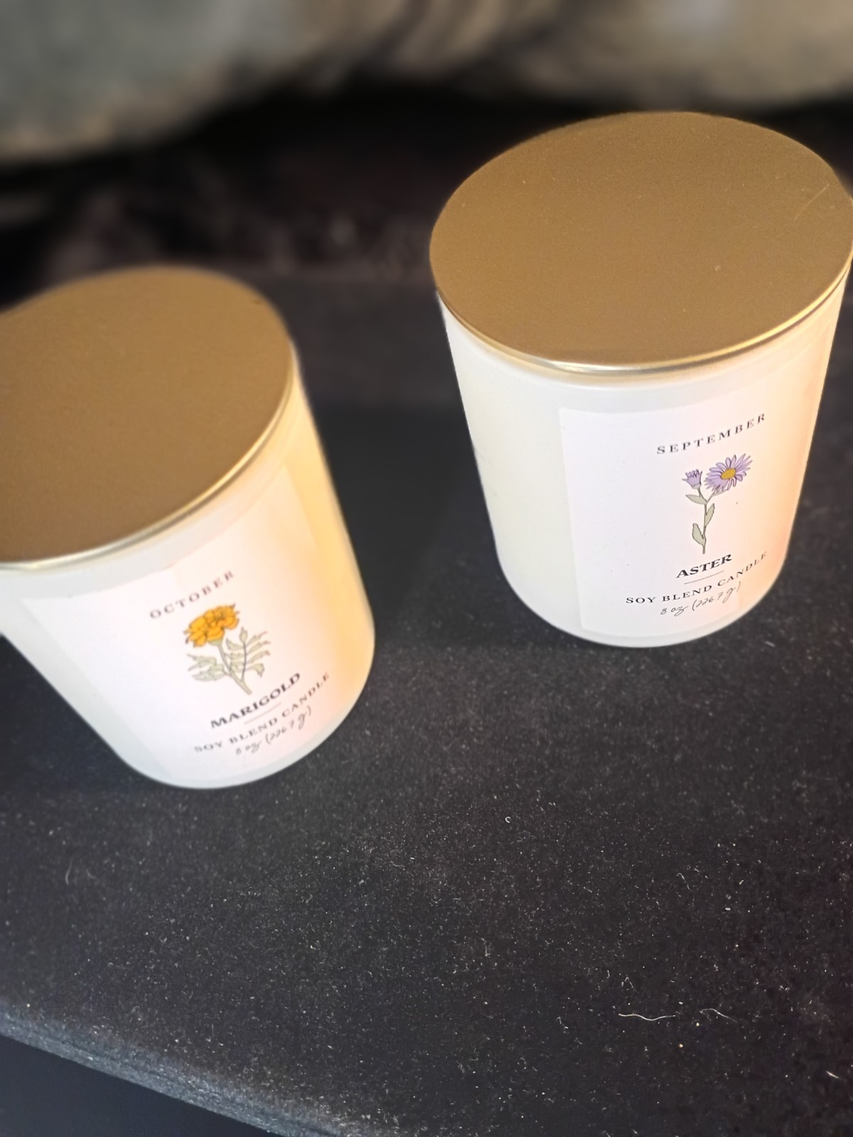 Modern Expressions Soy Blend Candle Lot of 2 September Aster & October Marigold
