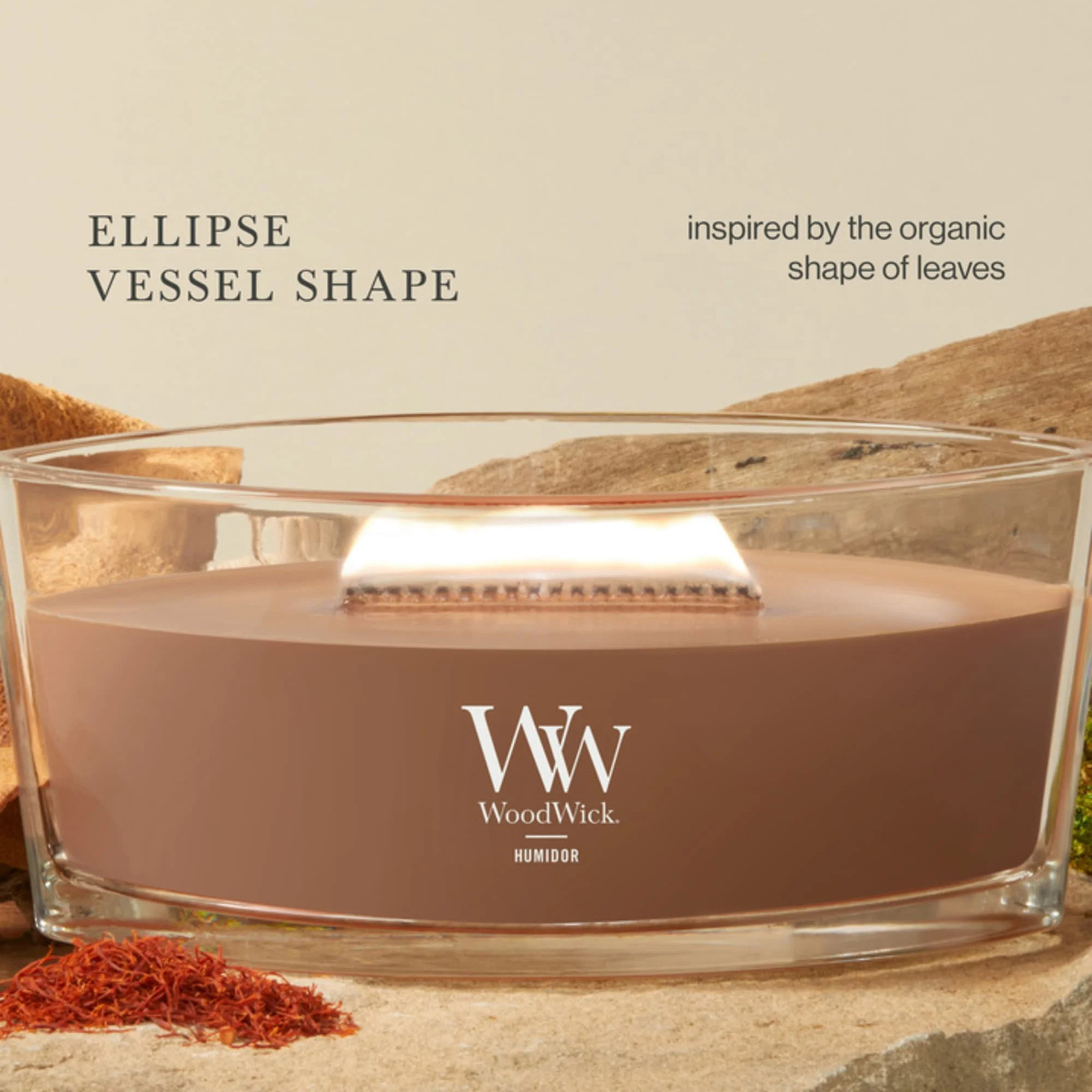 Ellipse Scented Candle, Humidor, 16 Oz