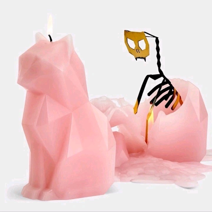 PyroPet Kisa Cat Candle Light Pink Hidden Skeleton 20hr Burn Paraffin Wax Modern
