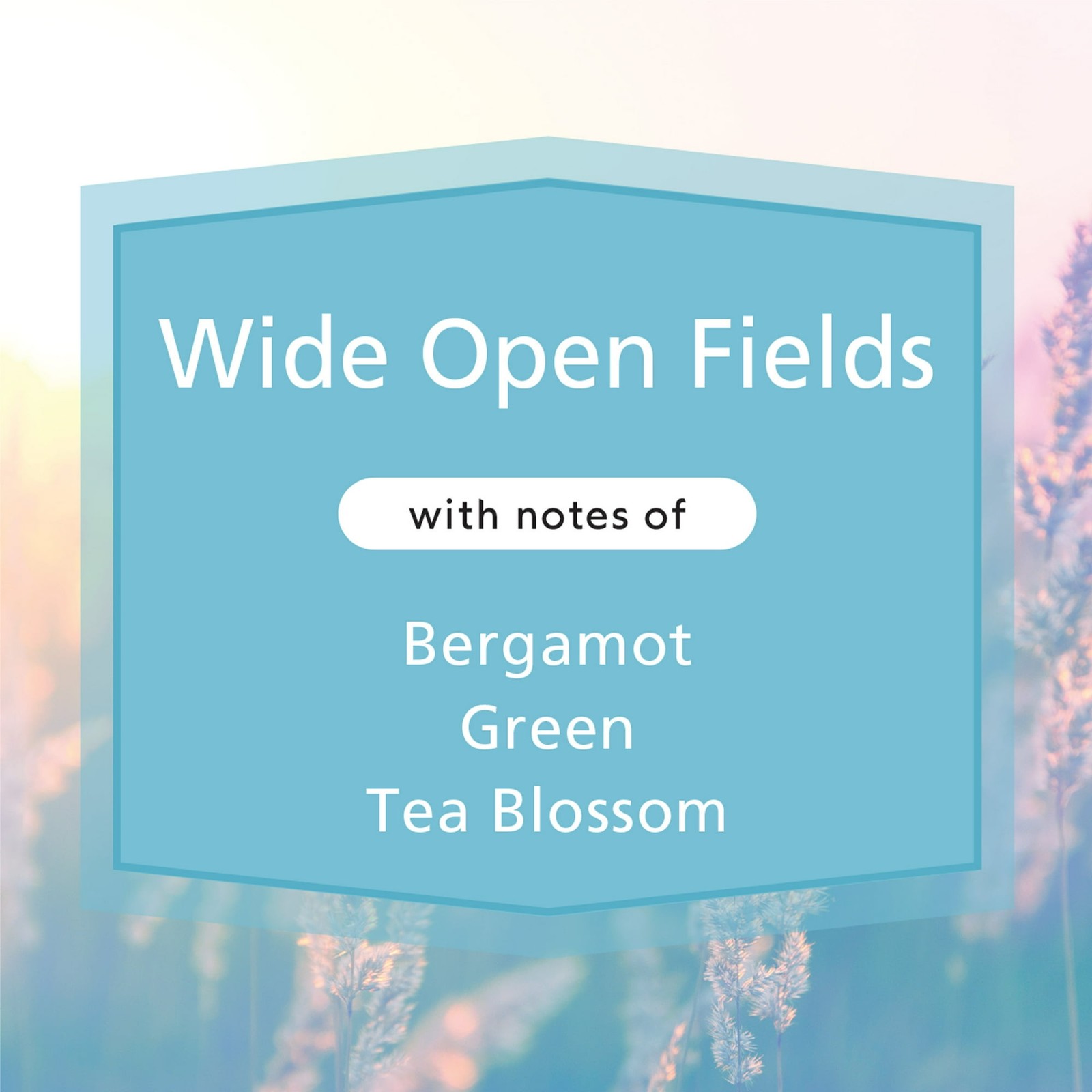 3 Pack Wide Open Fields Scented 3-Wick Candles,11.5oz FREE & FAST SHIP IN 2 DAYS