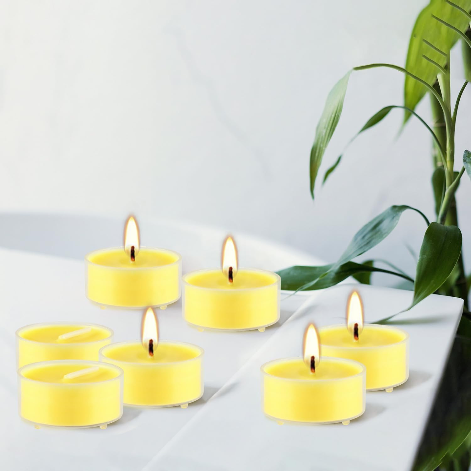 4-Hour 50Pack Citronella Tealight Candles, Outdoor and Indoor Summer Scented Can