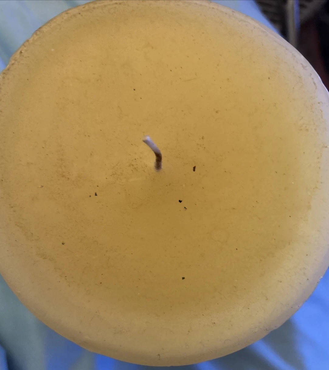 Rosy Rings Botanical Candle, 6.5” With Natural Elements Embedded. 200 Hours