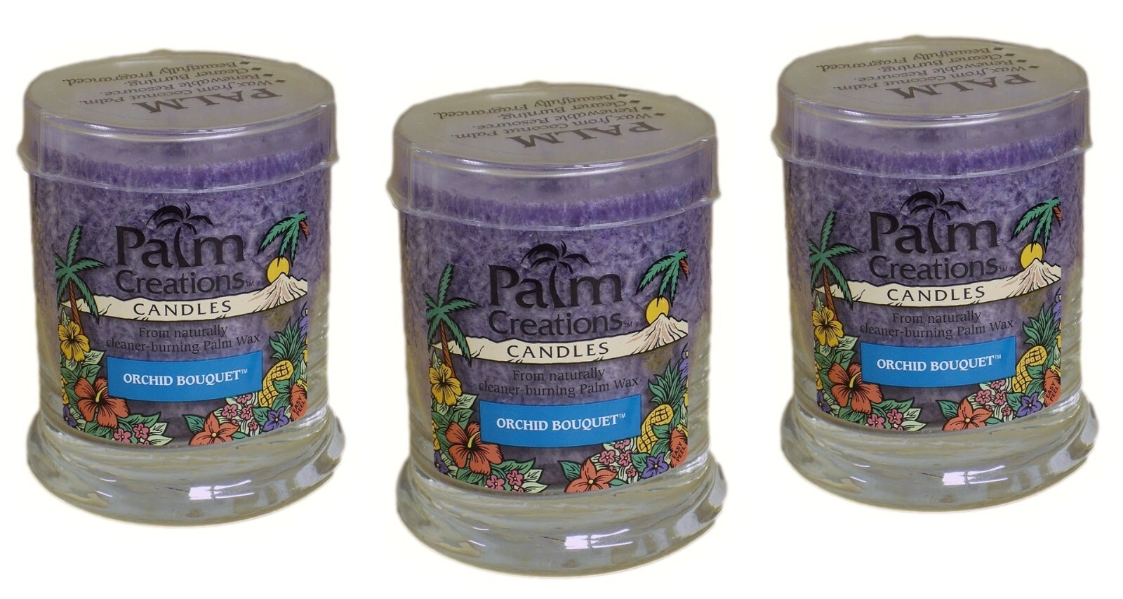 Scented Candles 3-Pack 9 oz Jars Purple Orchid Bouquet Nature’s Finest Garden