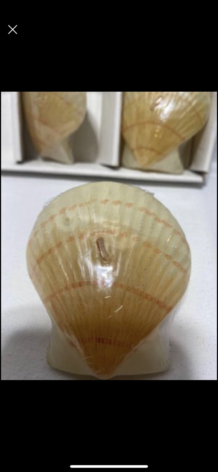 SEASHELL FLOATING CANDLES (3 PACK) BEACH / COASTAL HOME & BATHROOM DECOR