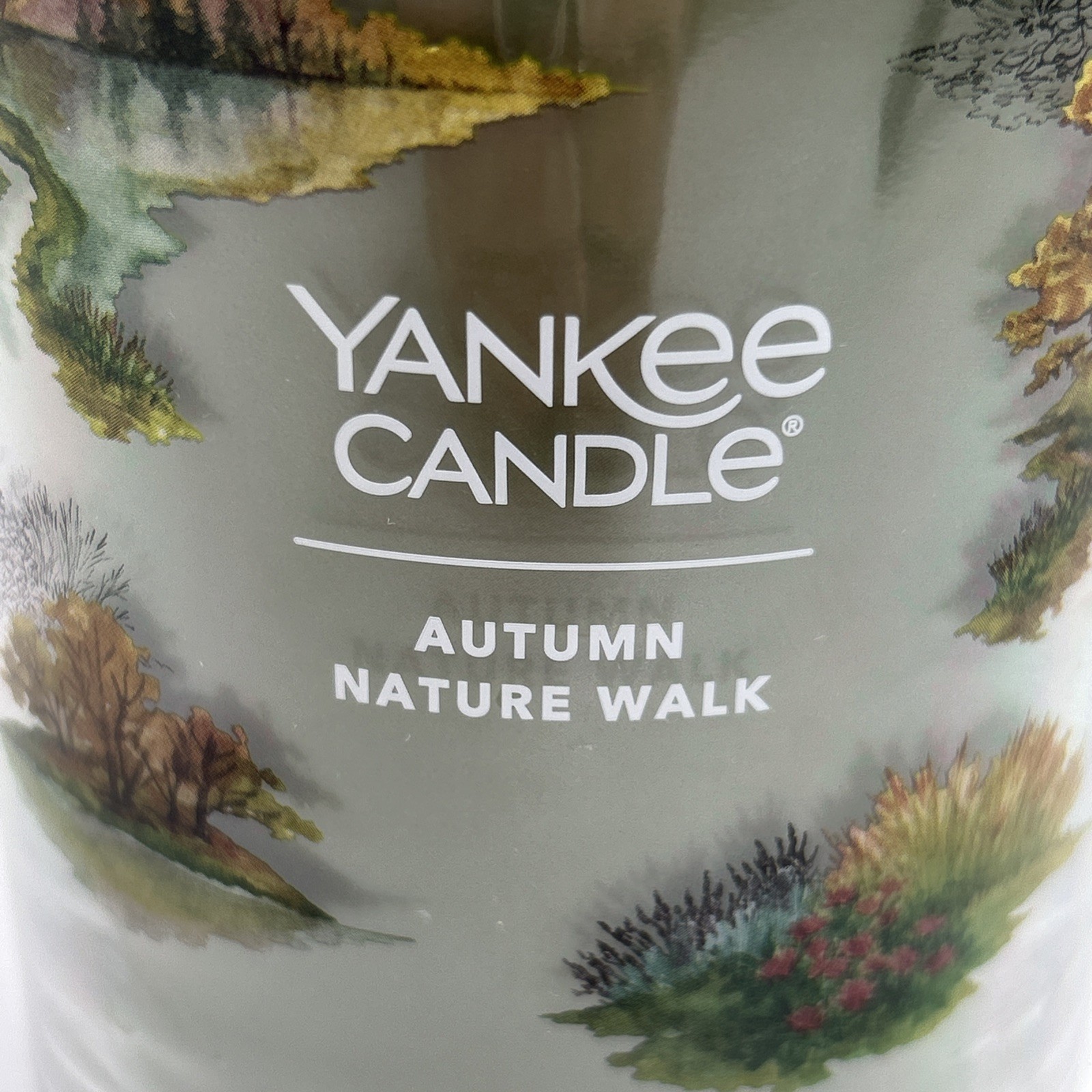 NEW Yankee Candle Autumn Nature Walk 20oz Large Tumbler Jar Candle Fall 2 Wick