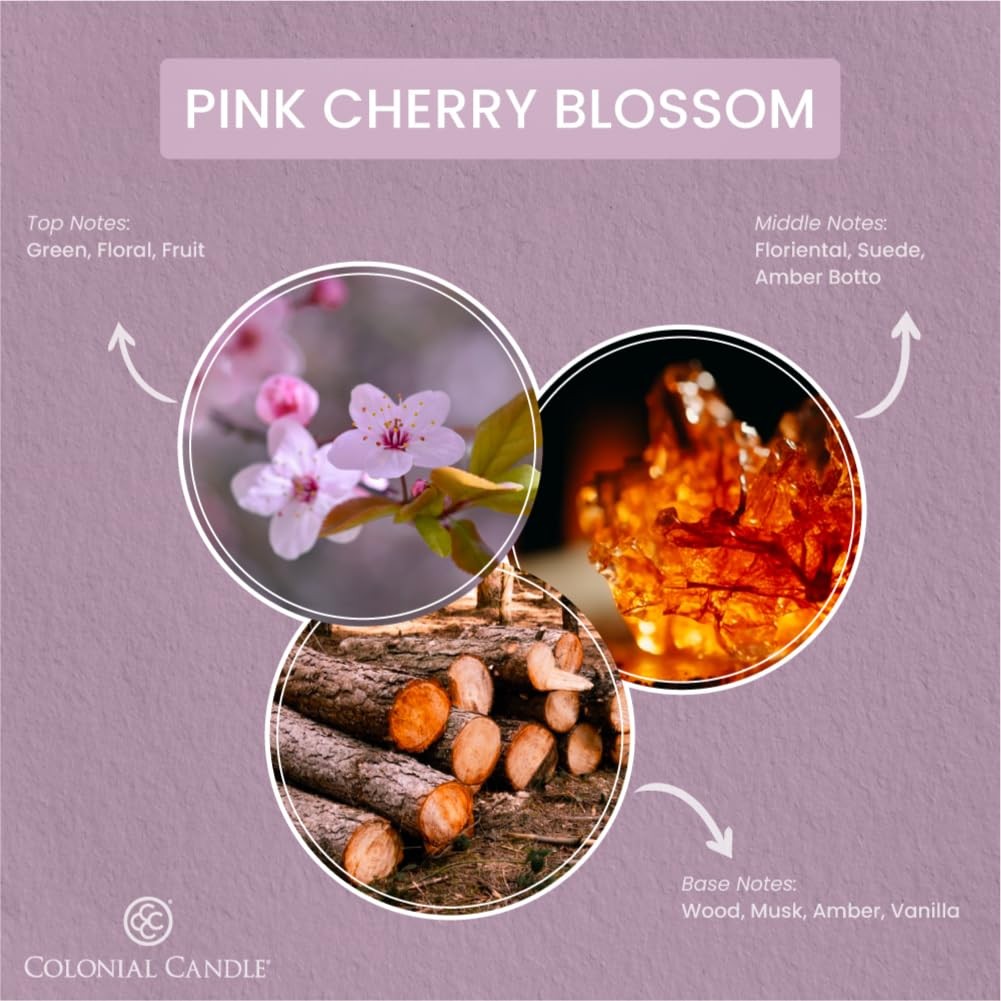 Pink Cherry Blossom Scented Jar Candle 2 Wick, 3.5 oz Mottled Wax