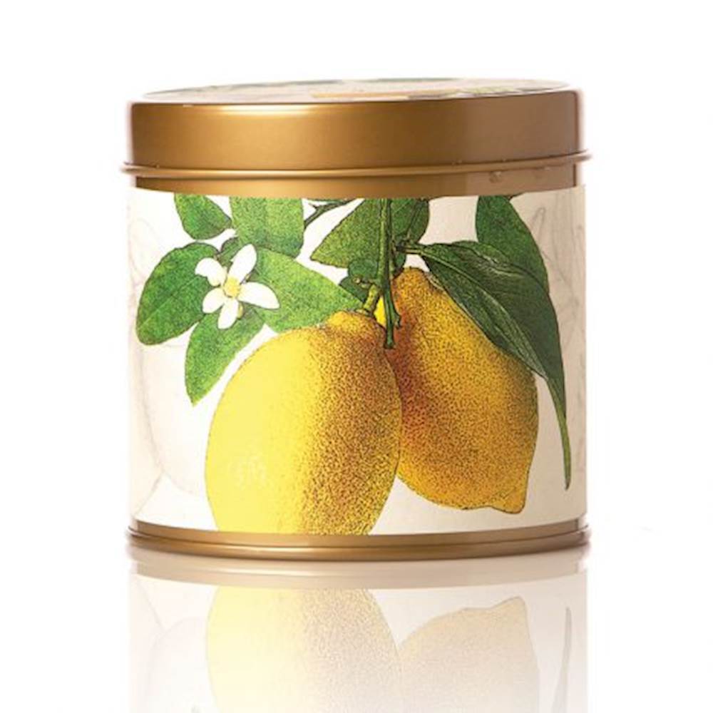 LEMON BLOSSOM & LYCHEE Rosy Rings Botanical 8 oz Signature Tin Candle