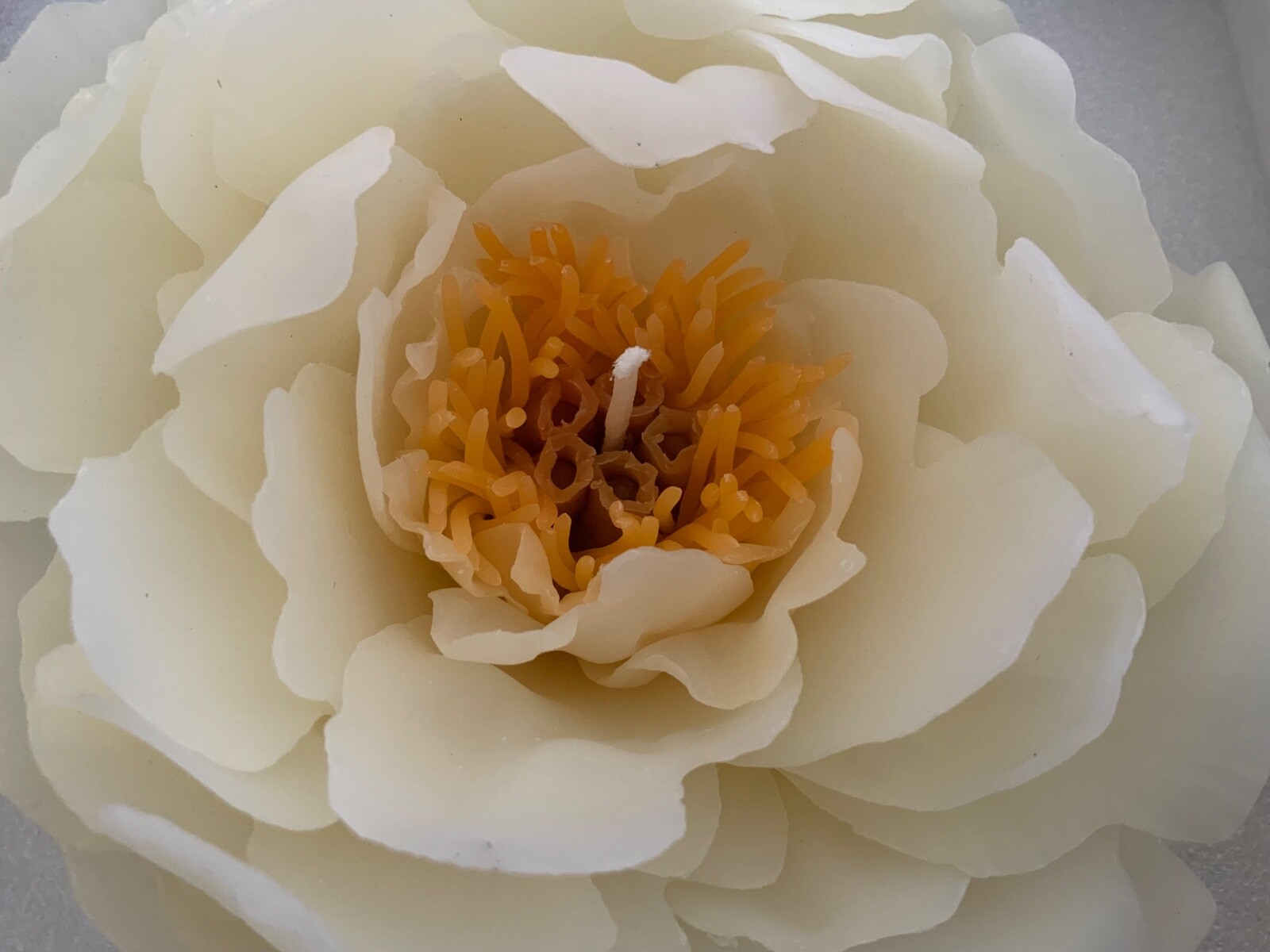 Handmade Peony Flower Candle Rose Scented With Stand. Boxed.