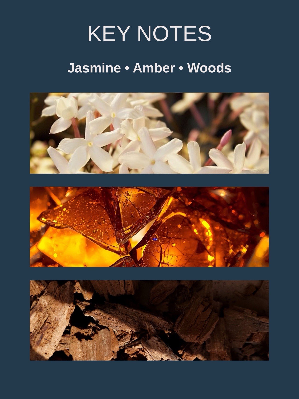 Scented 0 soy wax candle Hand Poured Candle Jasmine Amber Woods 8 oz Mergen