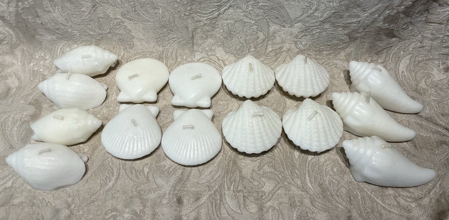 Pottery Barn White Mixed Sea Shell Candles Set Of 15 Nautical Beach House Decor