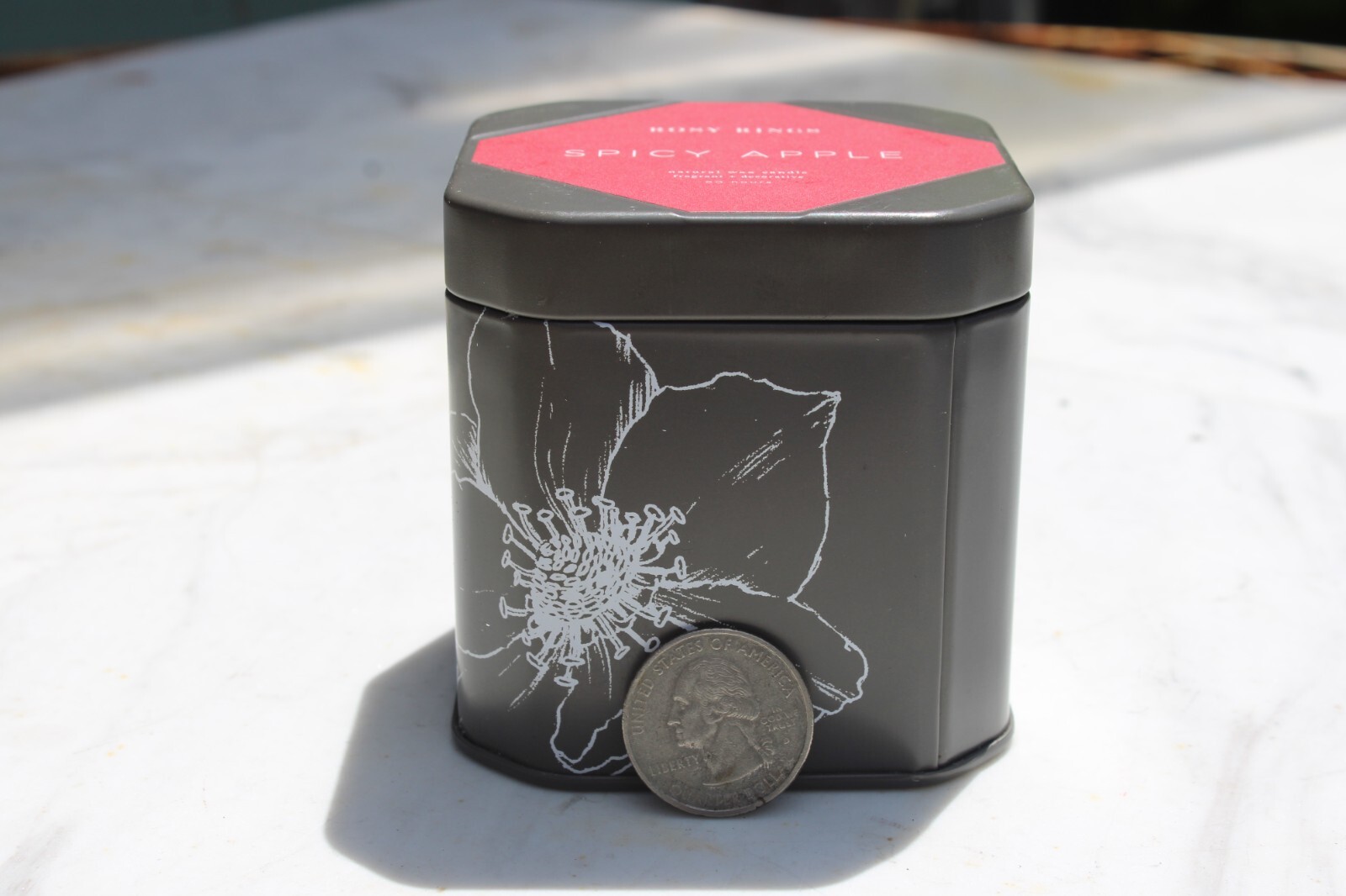 Rosy Rings Botanical Signature Travel Tin Candle – Spicy Apple – Lrg. 8.4 oz