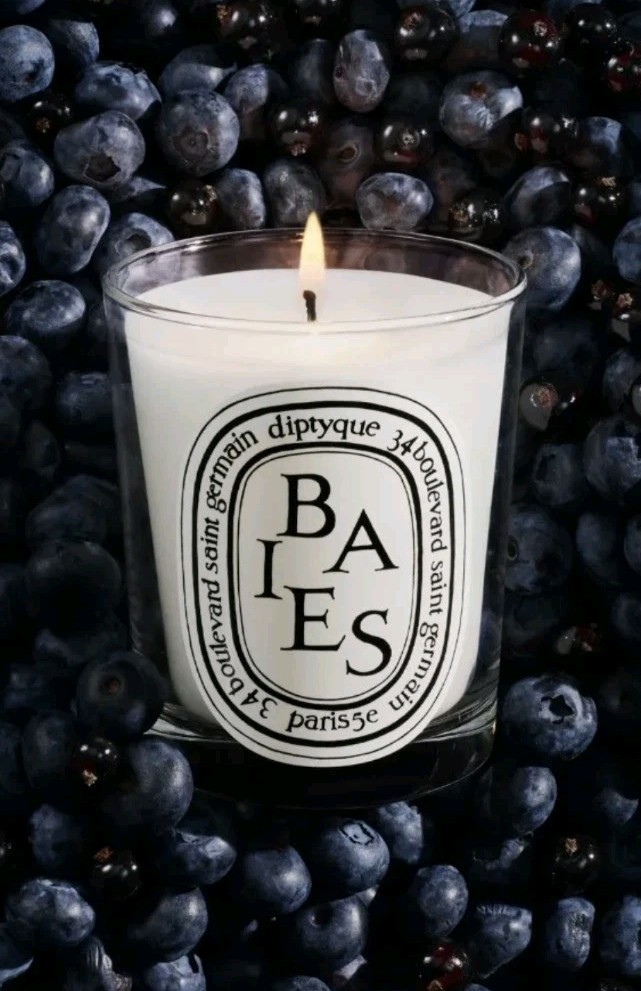 Diptyque Baies Candle 70g 100% Authentic No Box