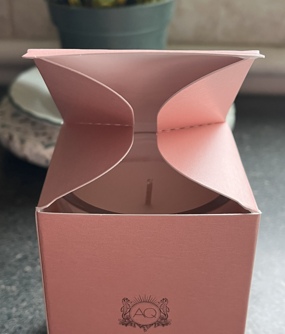AQUIESSE – GRAPEFRUIT ACAI Luxury Scented Soy Candle NIB 6.5 oz Single wick