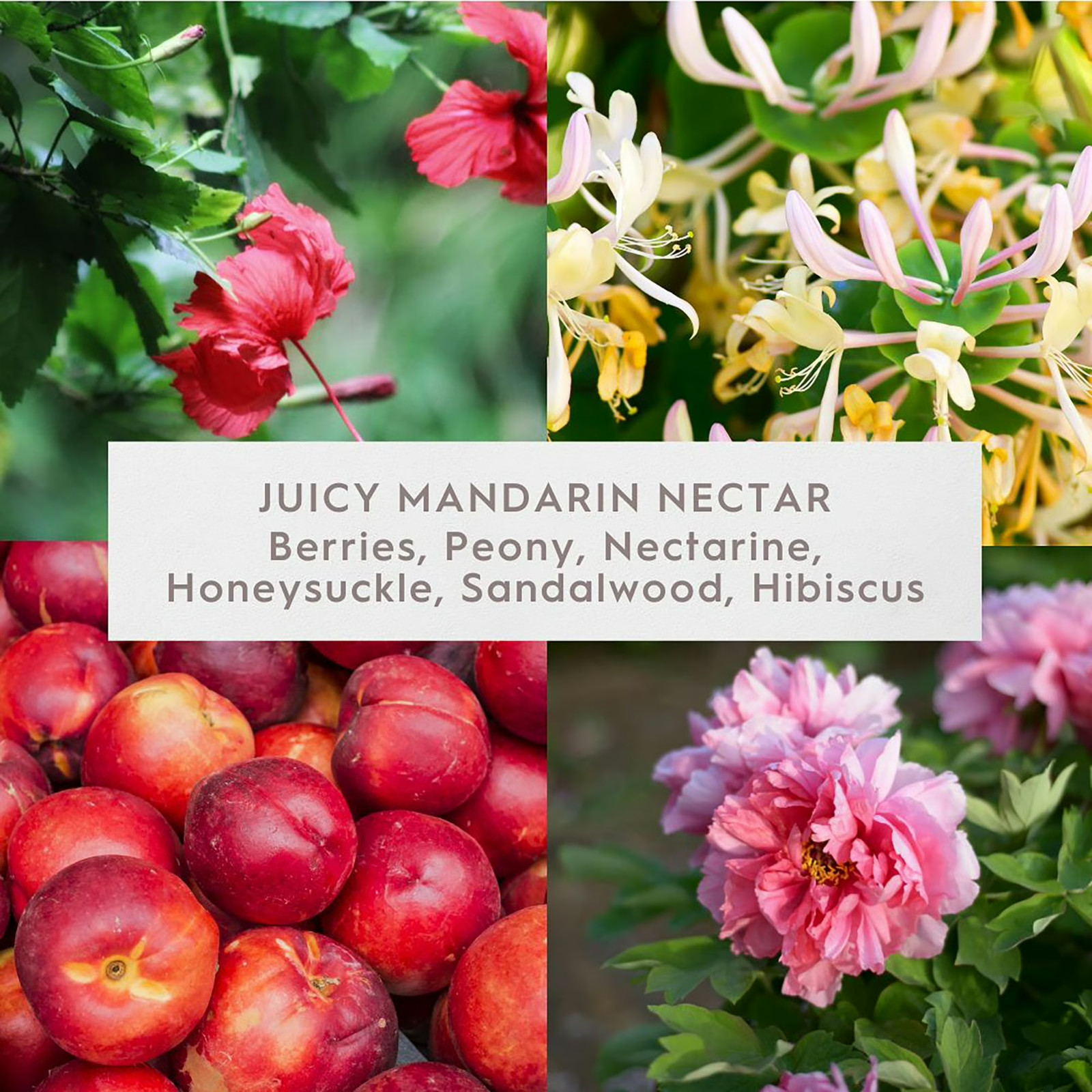 Better Homes & Gardens 16.1 oz Juicy Mandarin Nectar Scented Ribbed Jar Candle
