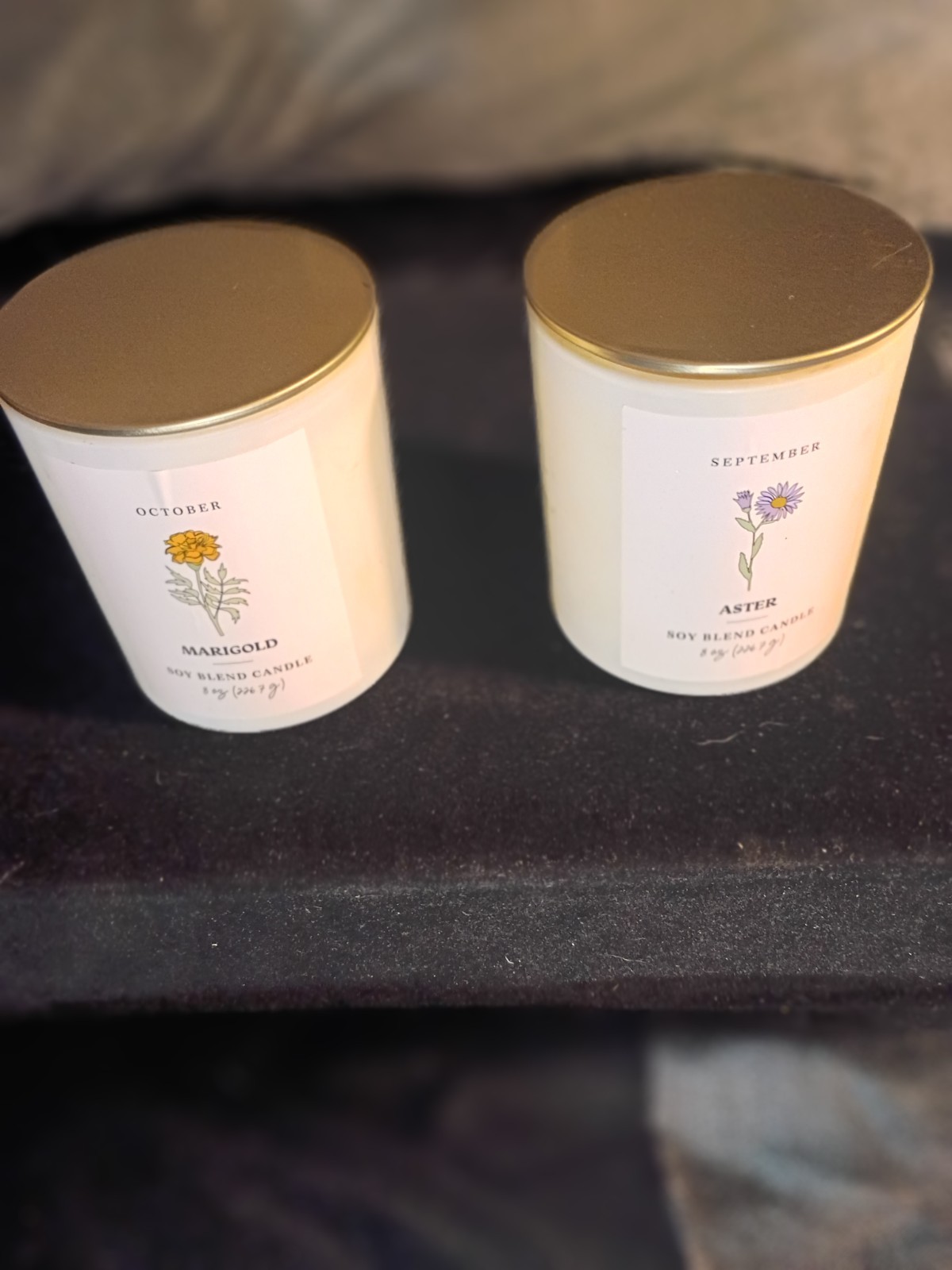 Modern Expressions Soy Blend Candle Lot of 2 September Aster & October Marigold