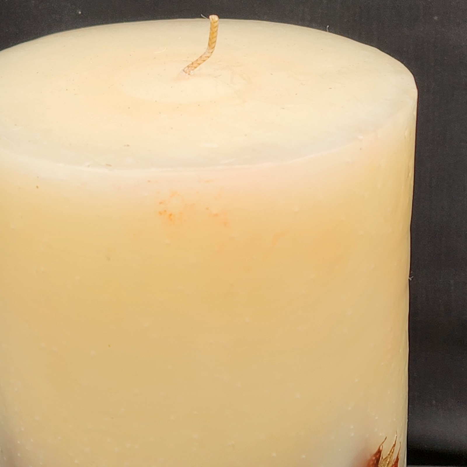 Pottery Barn Harvest Fall Leaf Botanical Candle 90-Hour Burn Time 4×8″ Unlit