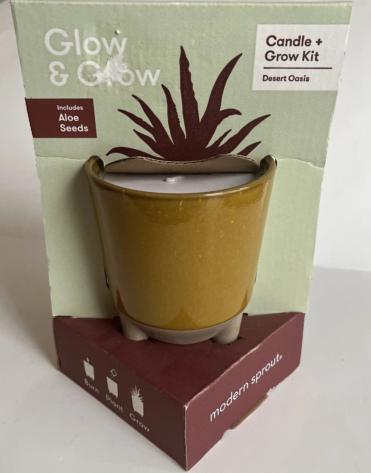 Modern Sprout Glow & Grow DESERT OASIS Candle & Grow Kit – Aloe Seed New