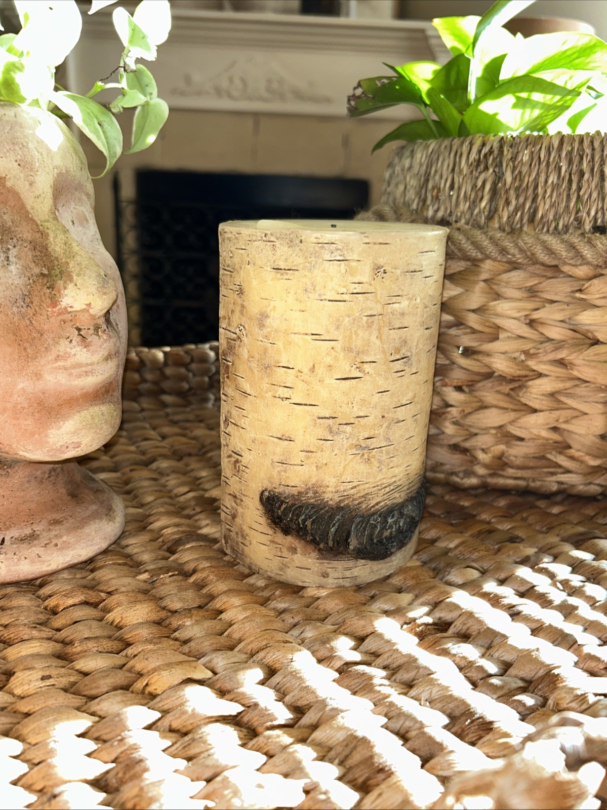 New (2) Pottery Barn Birch Candle 4×6” Burntime 45 Hours Holiday