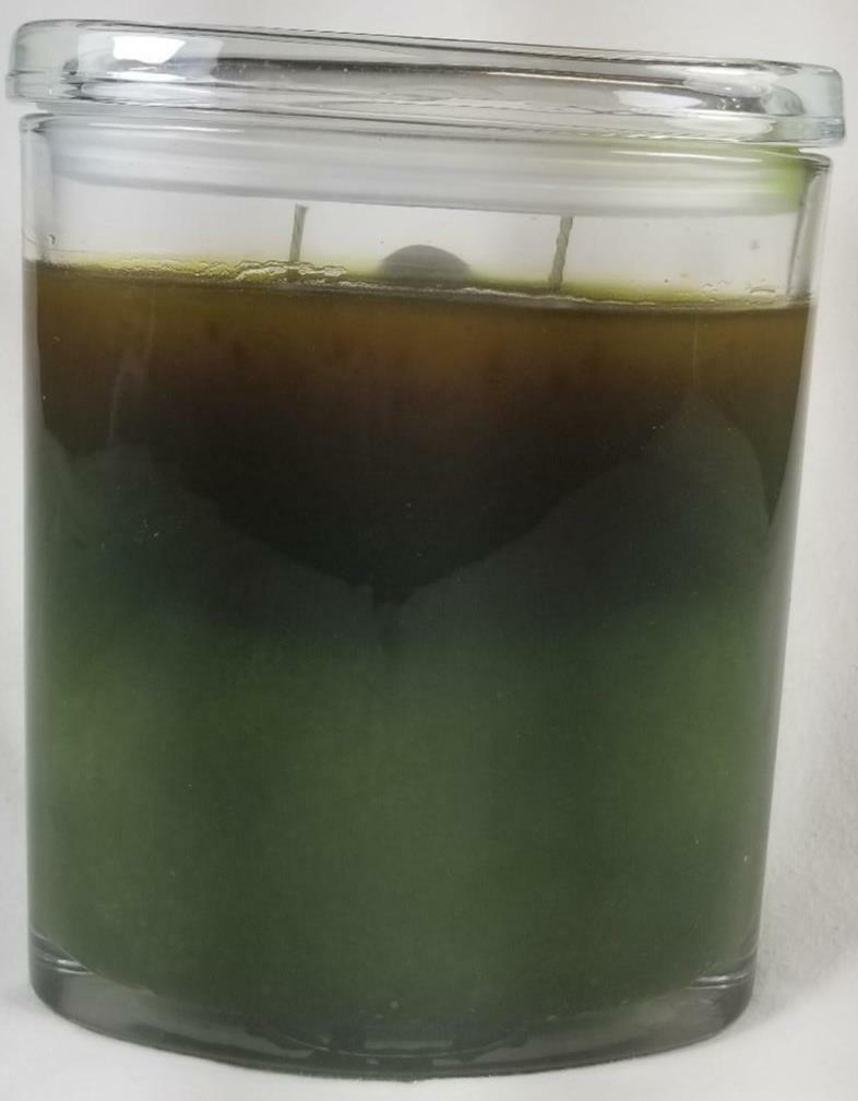 Colonial Candle FRESH ALOE Large Oval Jar 22 Oz Green Discontinued Wax
