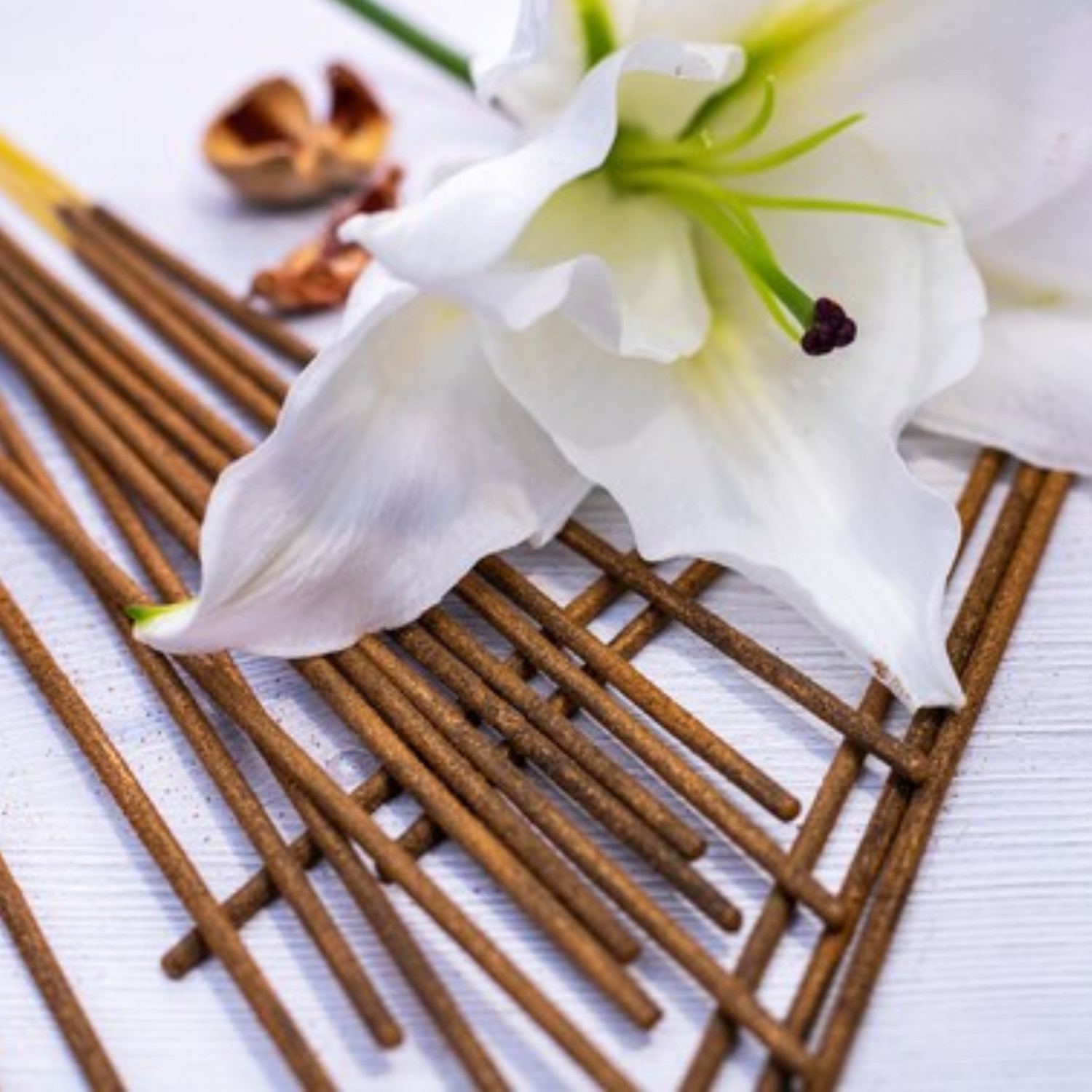 Song of India – Organic Goodness Incense Sticks – Pack of 4