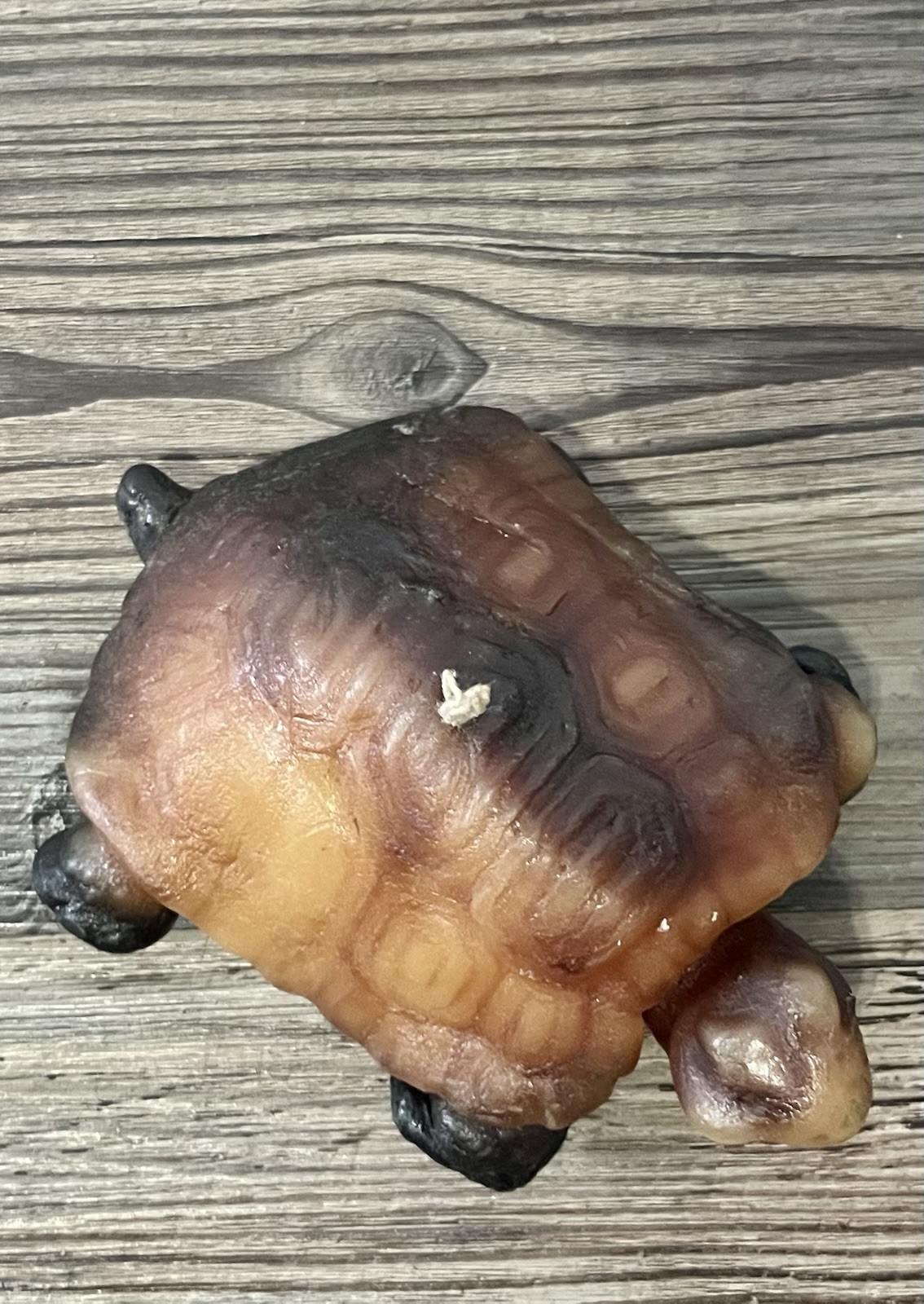 90s Y2K Brown Sea Turtle Wax Hand Carved NEVER LIT Art Candle Quirky Reptile