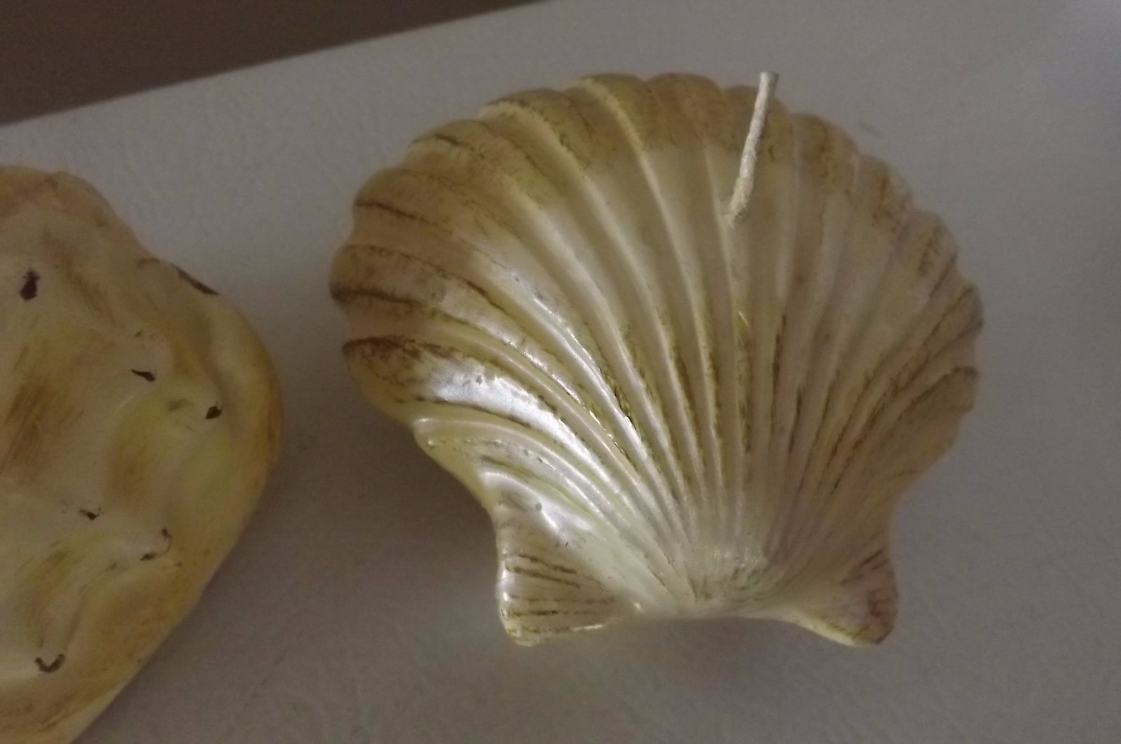 Shell Candle Scallop or Conch, Off White 3 1/2 in.
