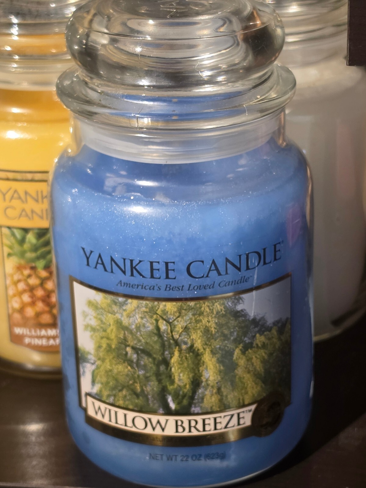 Yankee Candle Willow Breeze 22 oz Large Jar Retired Discontinued Rare HTF
