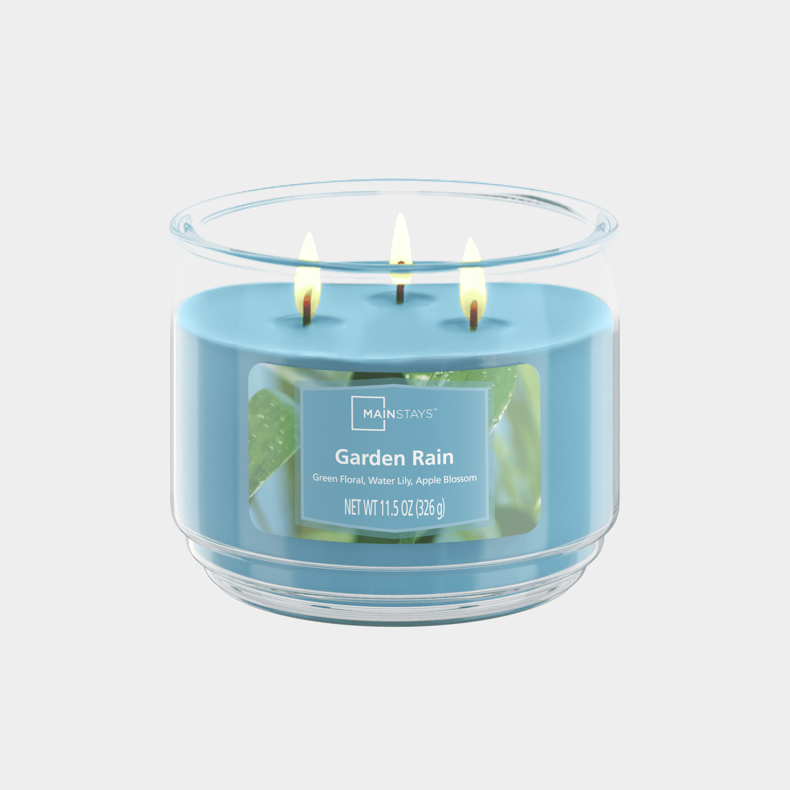2-Pack Garden Rain Scented 3-Wick Glass Jar Candle, 11.5oz / 326g