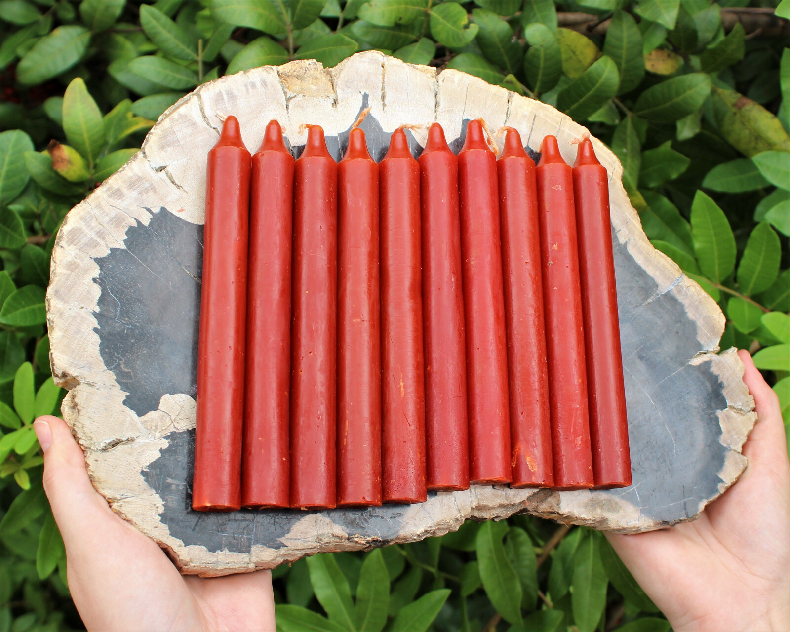 Lot of 10 x 6″ Taper Spell Candles: BROWN (Pagan Wicca Altar Household)