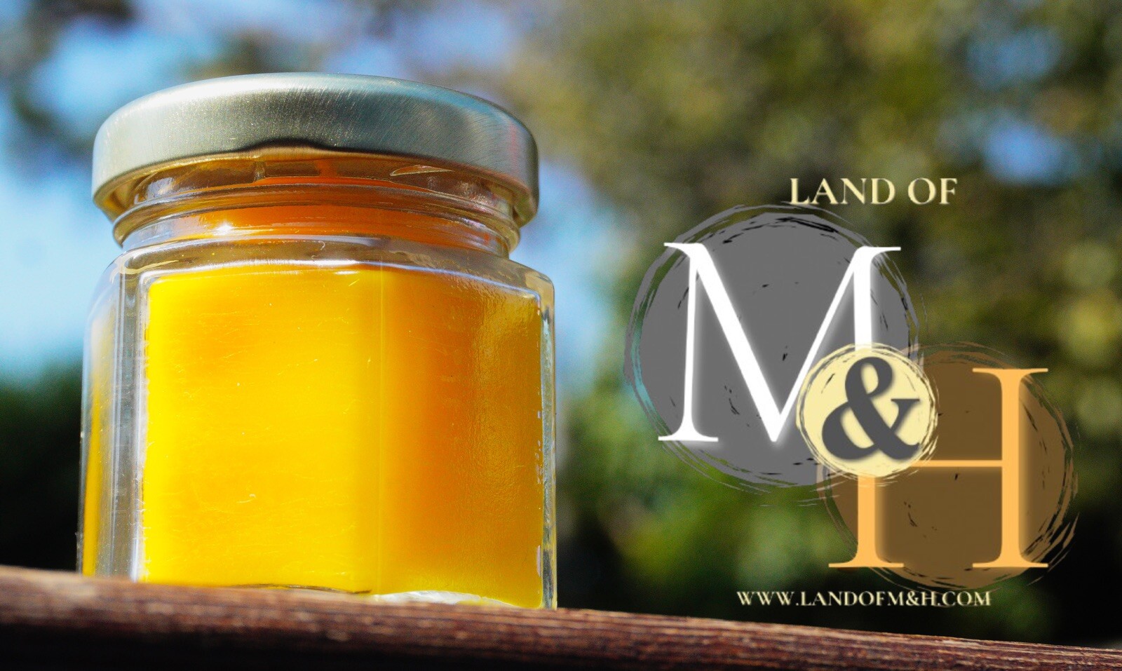 🐝 100% Beeswax (24 Pack) Candles 🕯️🕯️🕯️/ USA Honey Scent Long Burning 🐝
