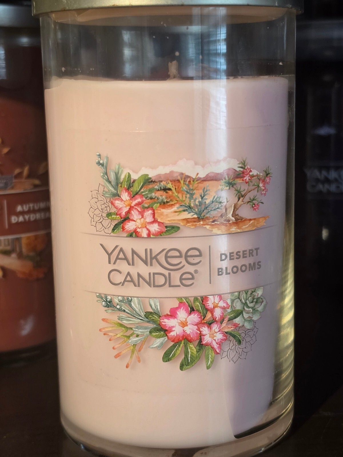 Yankee Candle Desert Blooms 14.25 oz Signature Medium Jar NEW 1749337