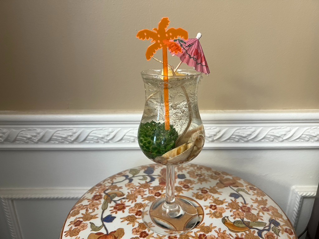 Clear Gel Seascape Candle in a 7 1/2″ Curved Glass