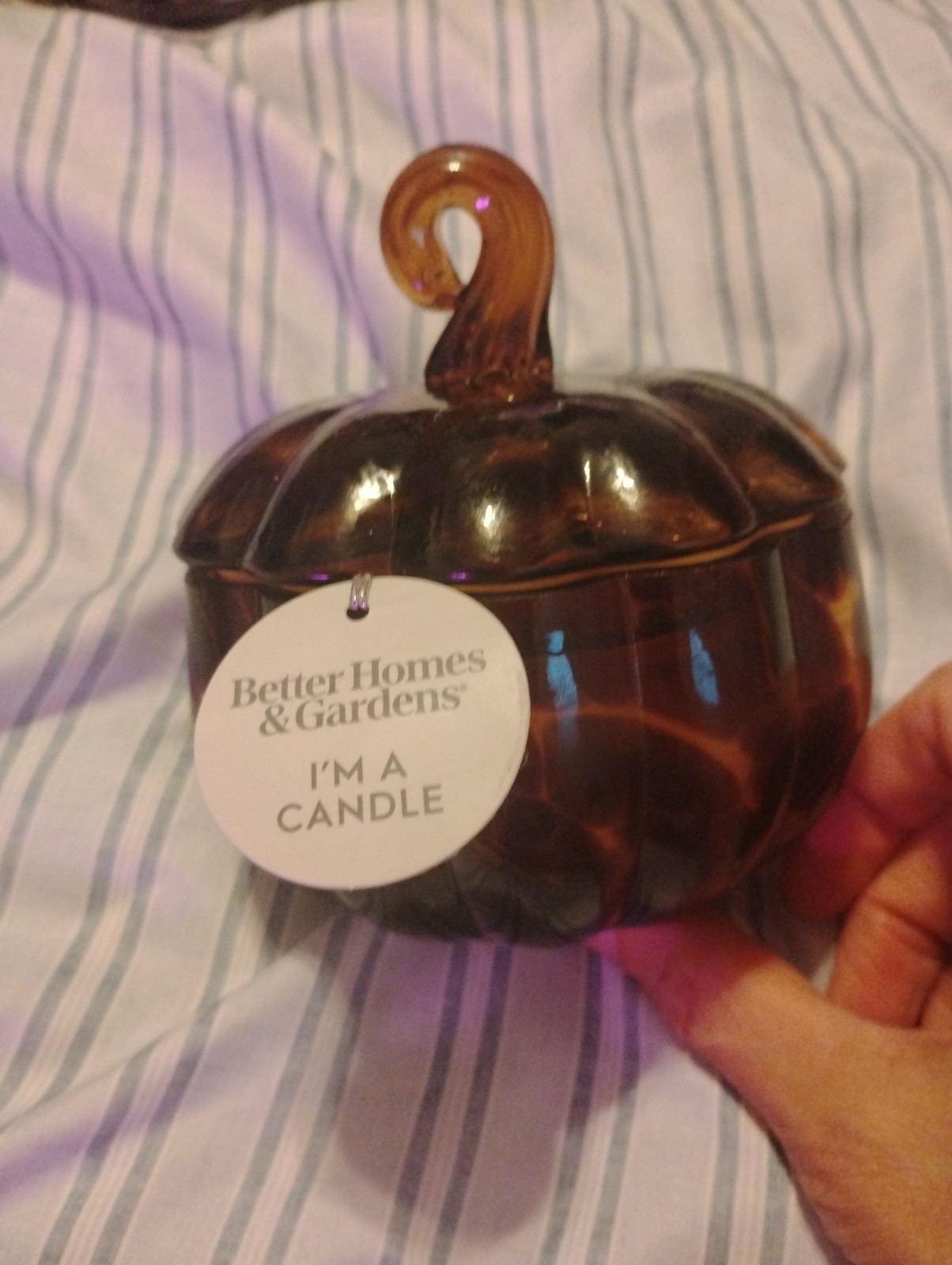NEW! SOLD OUT! Better Homes & Gardens Farm Apple Pumpkin Scented Pumpkin Candle