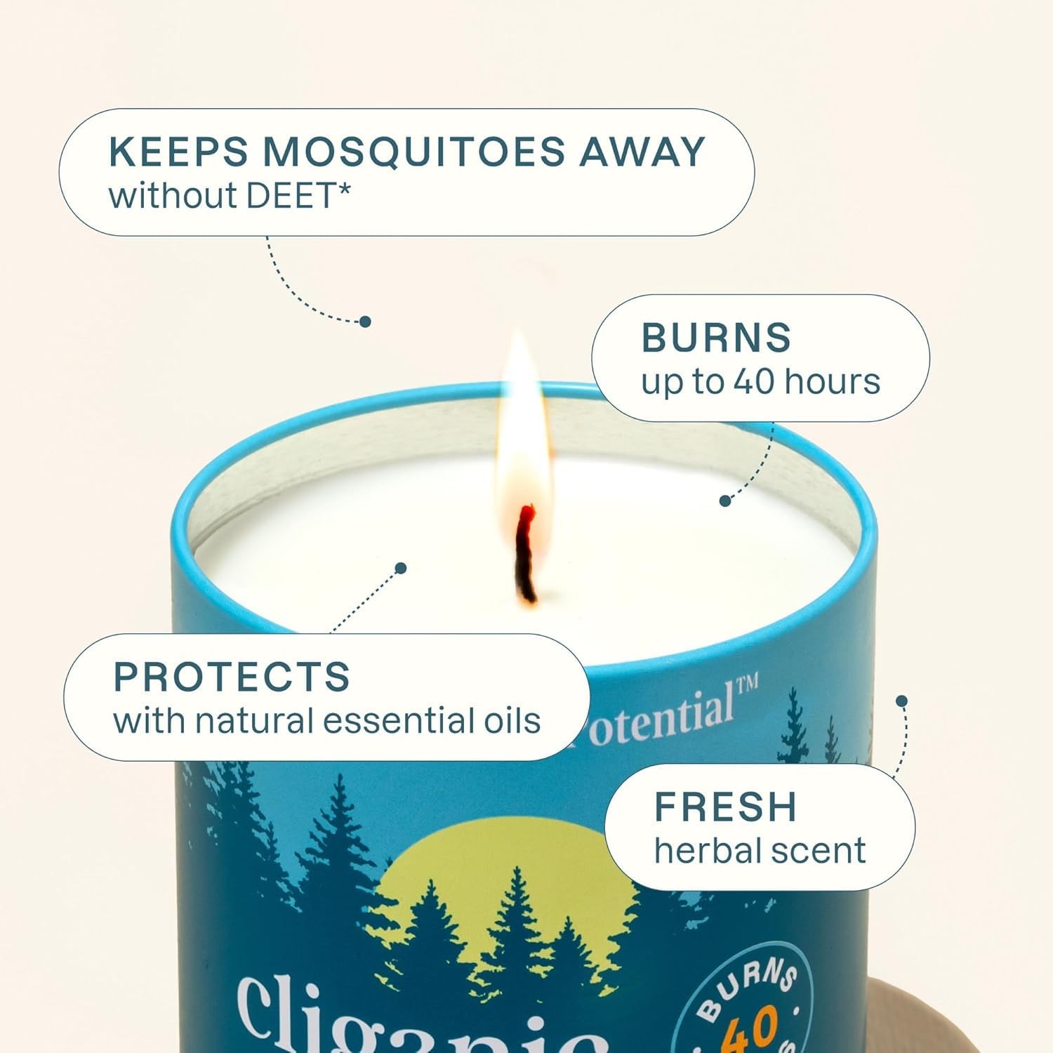 Mosquito Repellent Candle 9oz Pack of 2 Citronella DEET Free