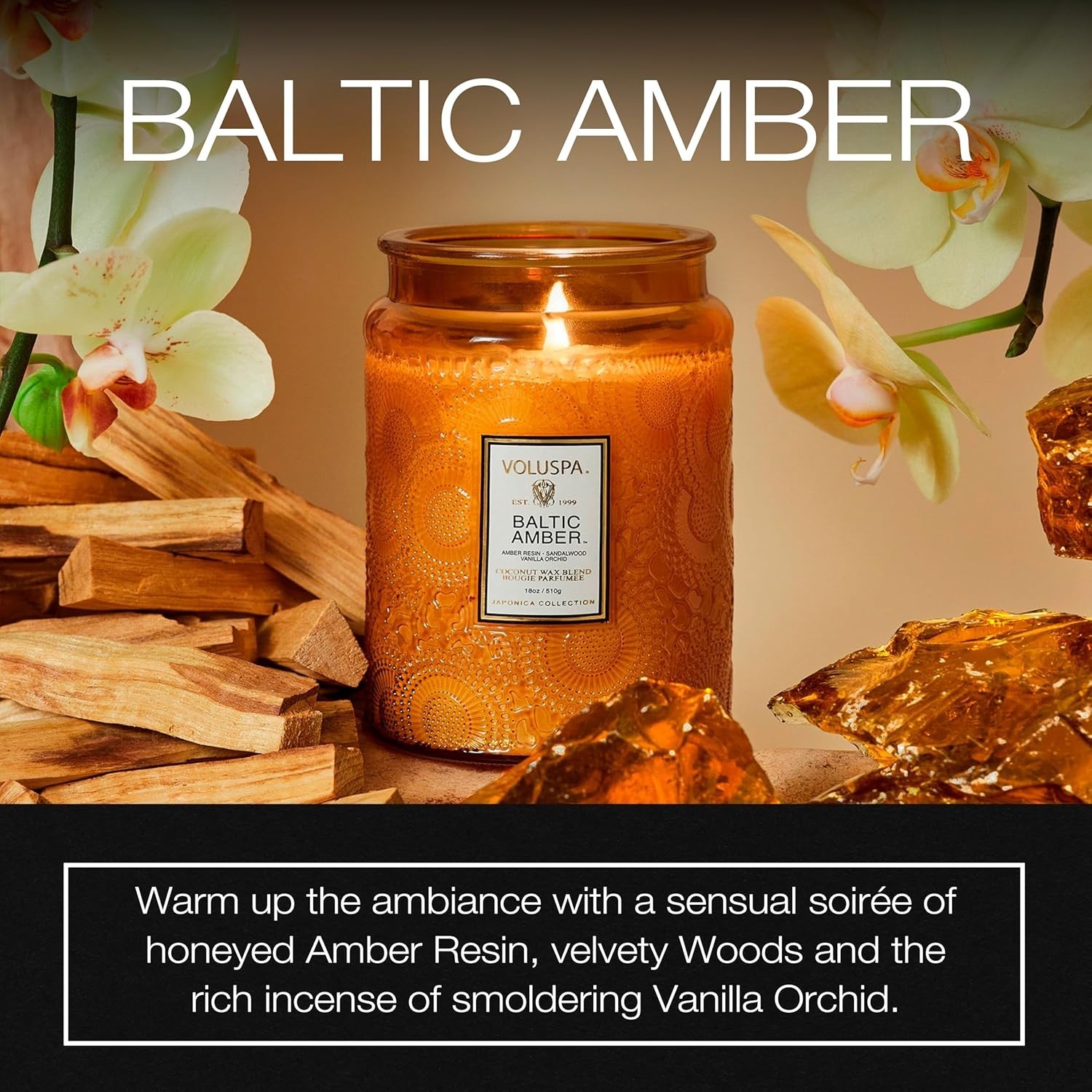 Baltic Amber Candle, 18 oz, Coconut Wax Blend, Scented Candles for Home, 100 …