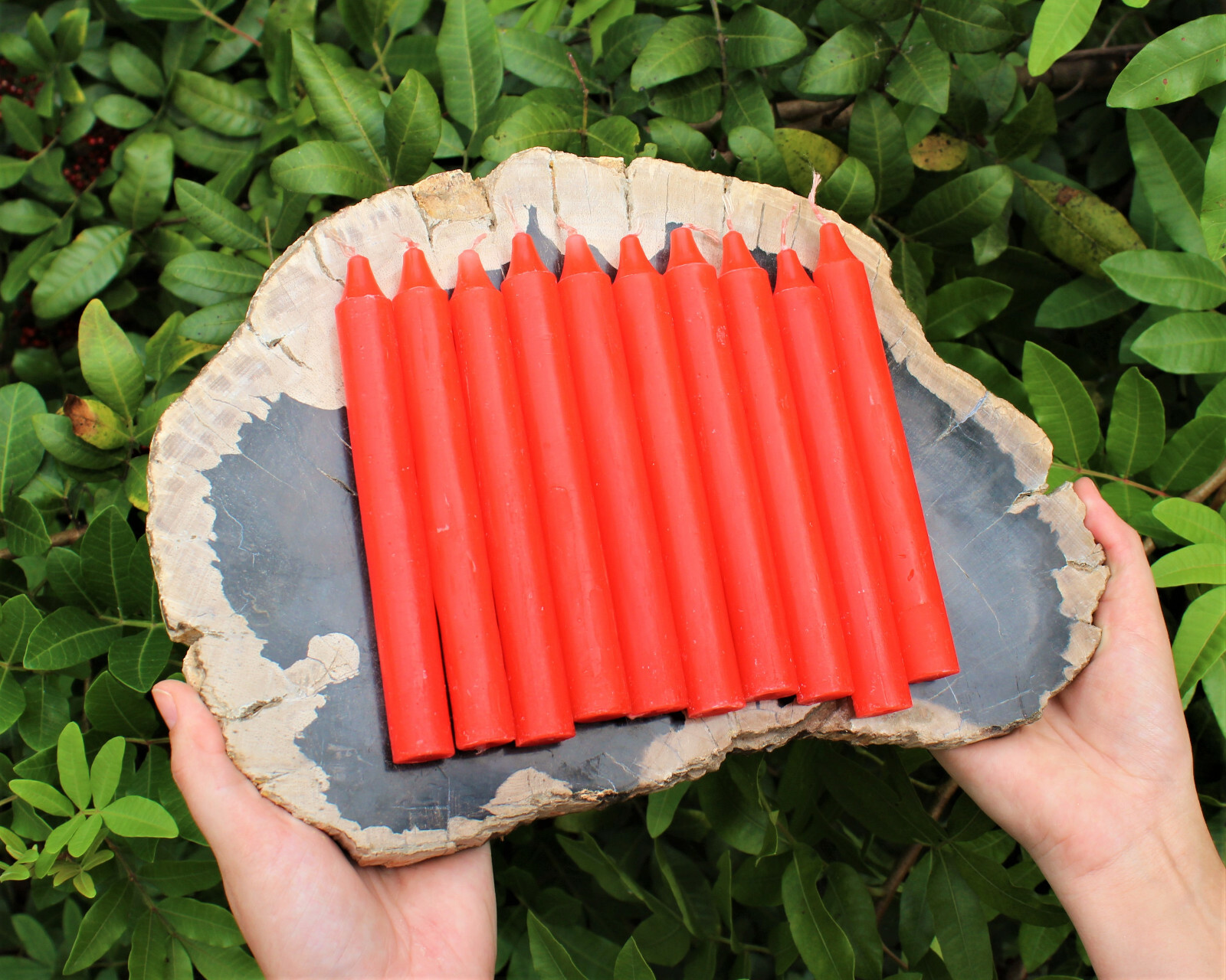 Lot of 10 x 6″ Taper Spell Candles: RED (Pagan Wicca Altar Household)