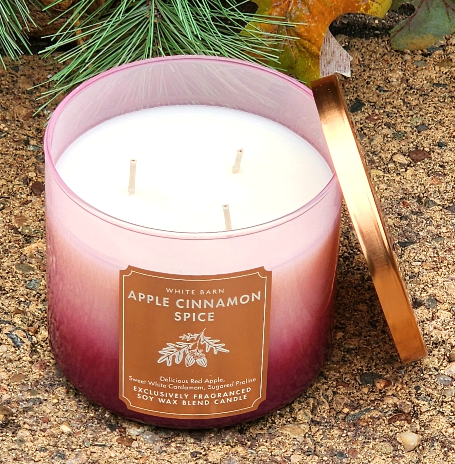 2026🍂FALL~🍁🍎🍂APPLE CINNAMON SPICE~3 WICK CANDLE~Bath & Body Works~SHIP FREE